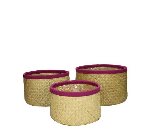 Σετ/3 καλάθια seagrass με βιολετί τρέσα,27x13cm XET-7332